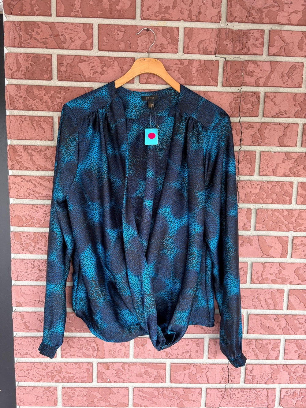 Teal and Black Draped Long-Sleeve Blouse
